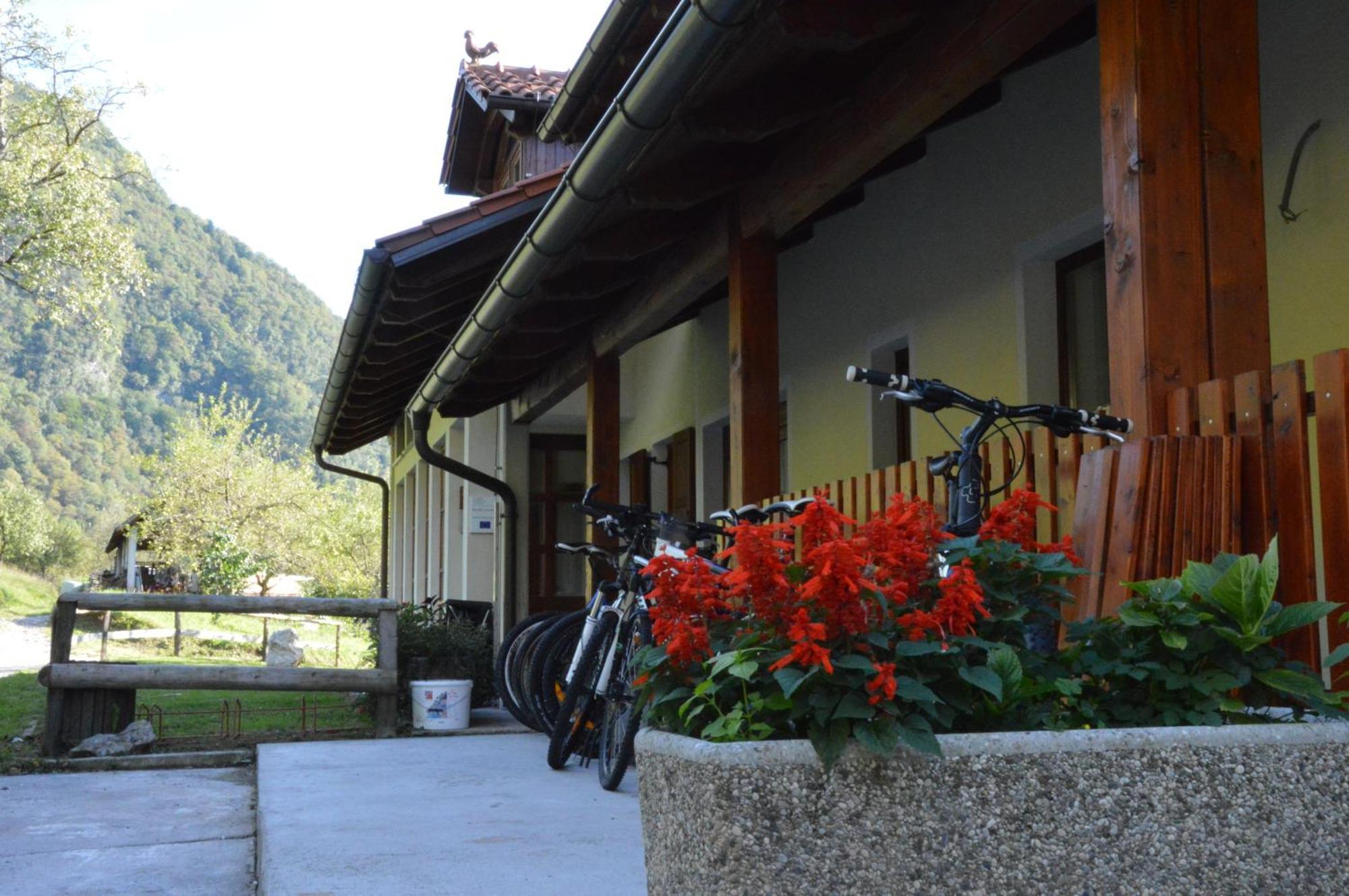 Tourist Farm Pri Kafolu Vila Tolmin Quarto foto