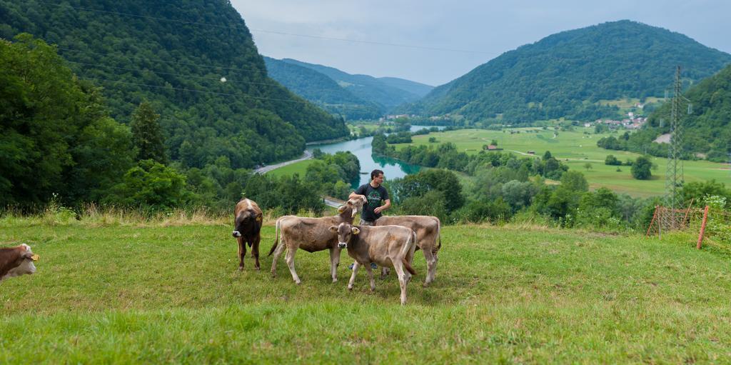 Tourist Farm Pri Kafolu Vila Tolmin Exterior foto