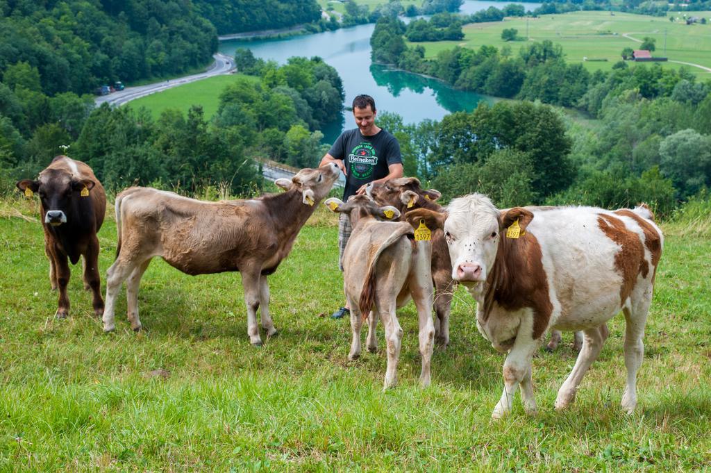 Tourist Farm Pri Kafolu Vila Tolmin Exterior foto